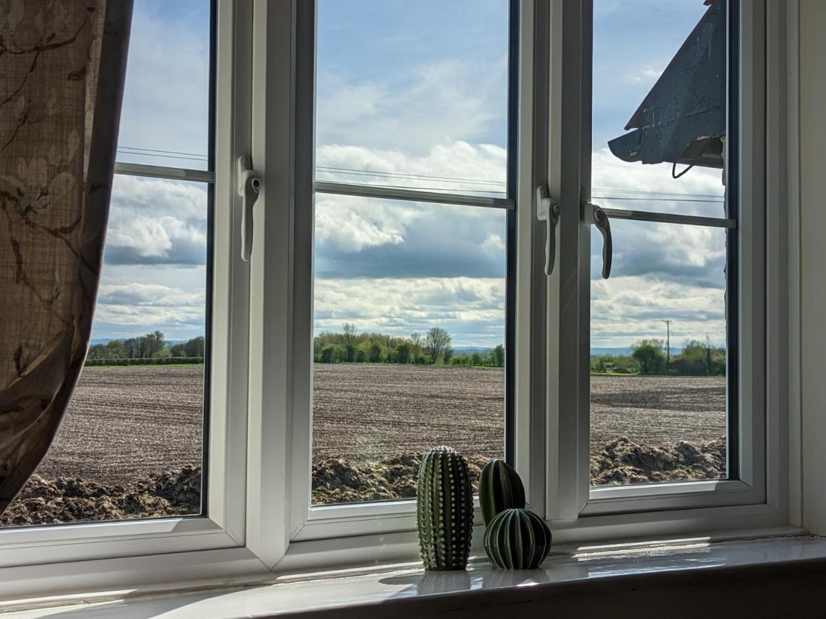 Cosy Family Cottage South Somerset Long Sutton  المظهر الخارجي الصورة